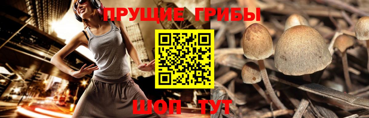 Комсомольск-на-Амуре  Псилоцибиновые грибы прущие грибы  Вход с VPN  Галлюциногенные грибы прущие грибы 